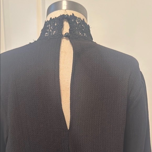 Elegant Black Lace Collar Dress - Picture 4 of 6